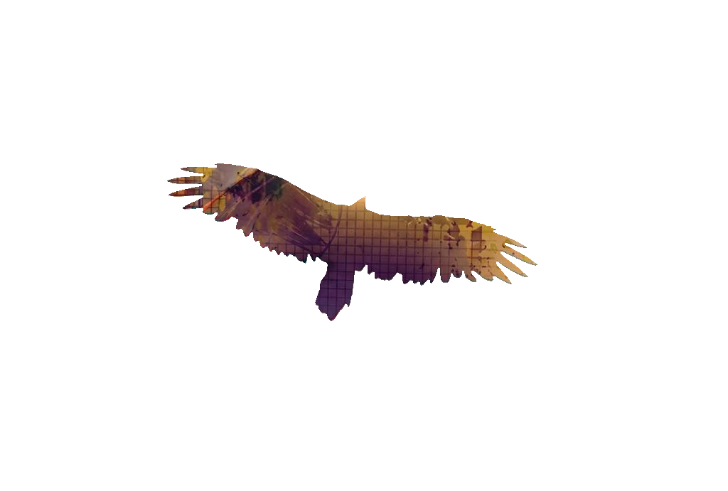 Prismatic Collapse