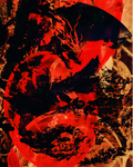 Dragon in the Red Circle